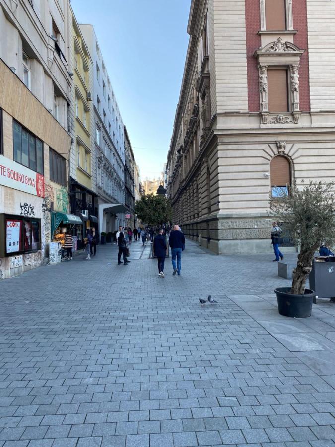 Cika Ljuba Lejlighed Beograd Eksteriør billede